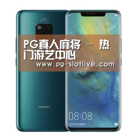 华为无线快充手机
