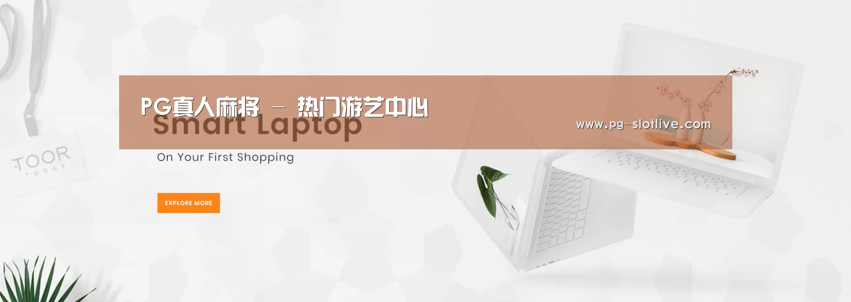 某某网络科技有限公司