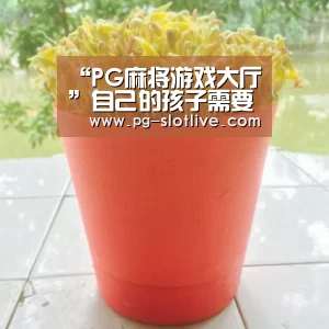 “PG麻将游戏大厅”自己的孩子需要怎样朋友呢,早教(图2) PG电子官网