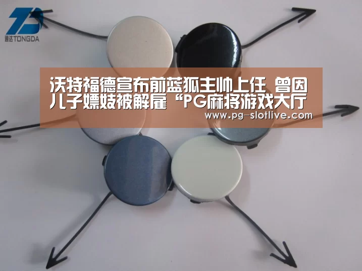 PG真人麻将