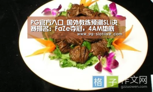 PG官方入口_国外教练预测SLi决赛排名:FaZe夺冠,4AM垫底(图4) PG麻将游戏大厅