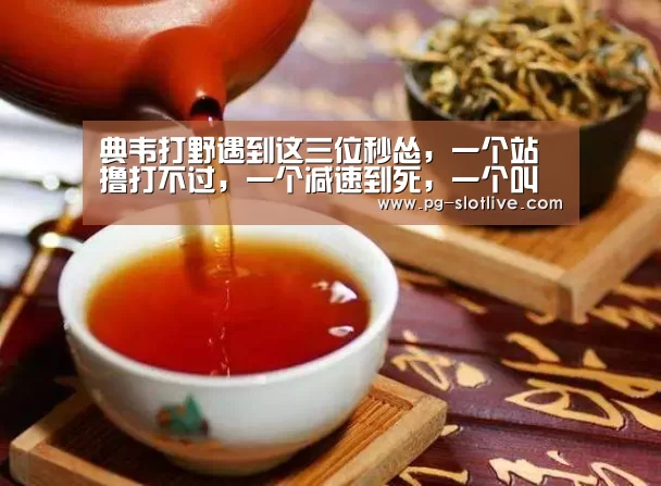 典韦打野遇到这三位秒怂,一个站撸打不过,一个减速到死,一个叫“妈妈”!-PG电子官网(图1) PG麻将游戏大厅