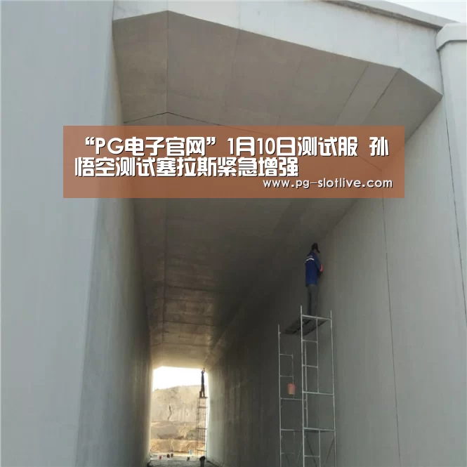 “PG电子官网”1月10日测试服 孙悟空测试塞拉斯紧急增强(图2) PG麻将游戏大厅