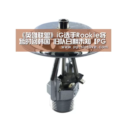 PG电子官网